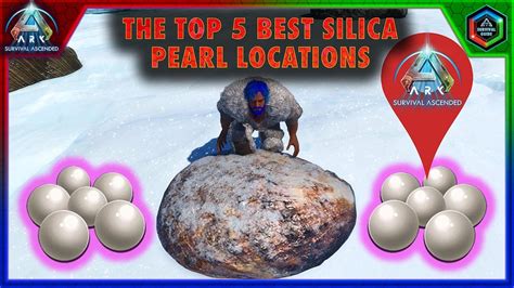 ark ascended pearl locations|ark survival silica pearl farming.